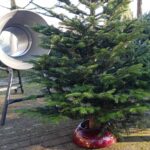 2024_ kerstboom in rode easyfix