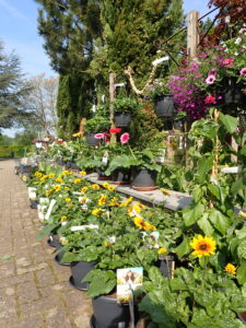 2024_bloemenfoto's (7)