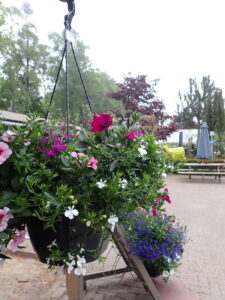 Haning basket met zomergoed